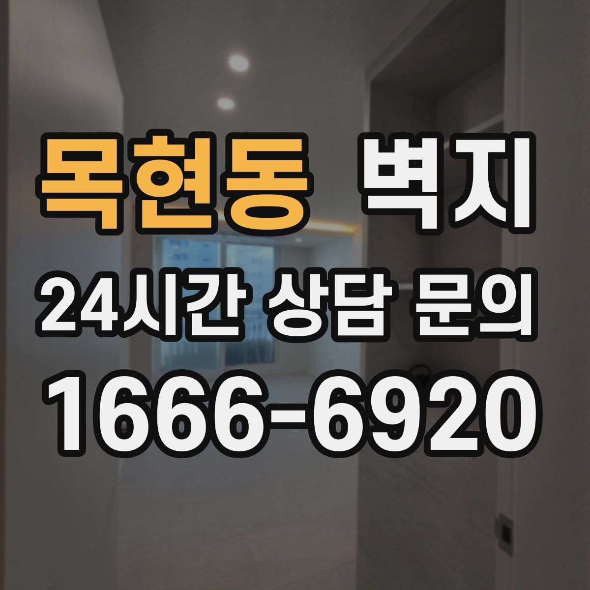 목현동 벽지