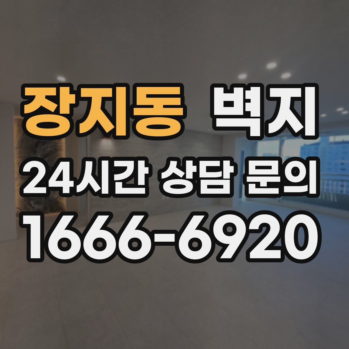 장지동 벽지