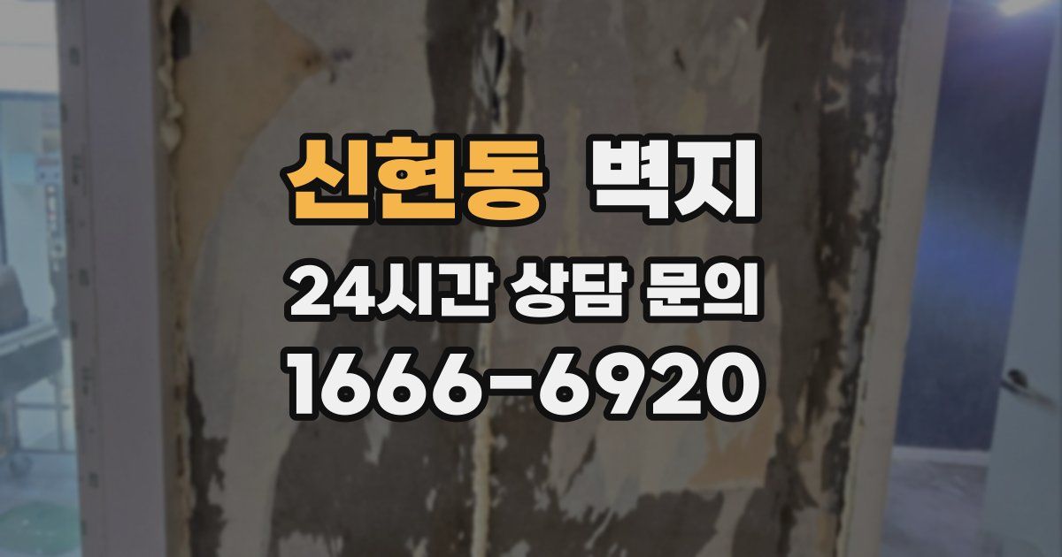 신현동 벽지