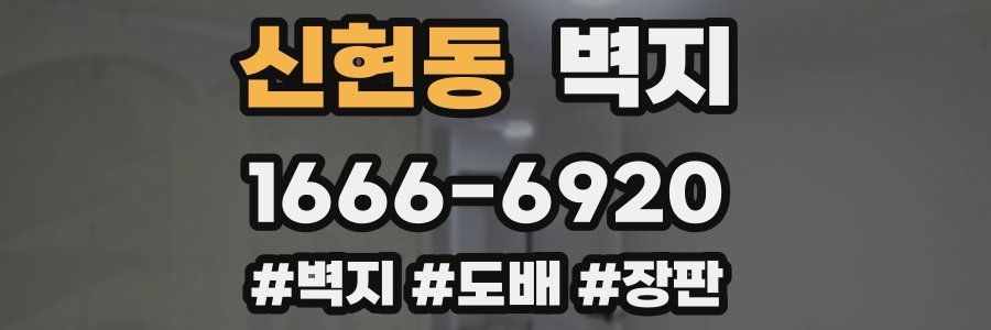 신현동 벽지