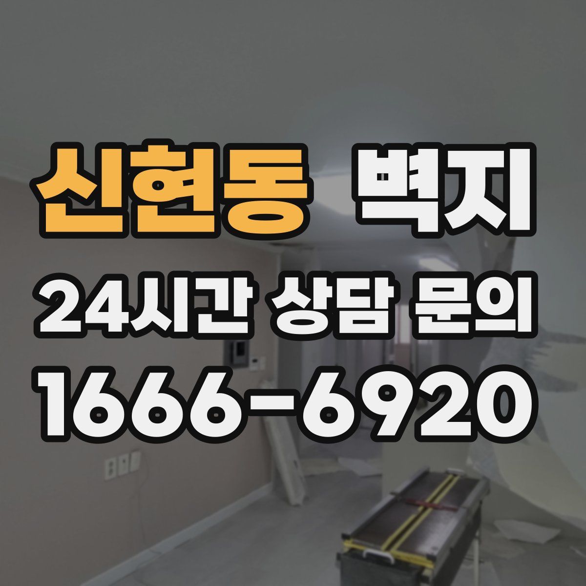 신현동 벽지