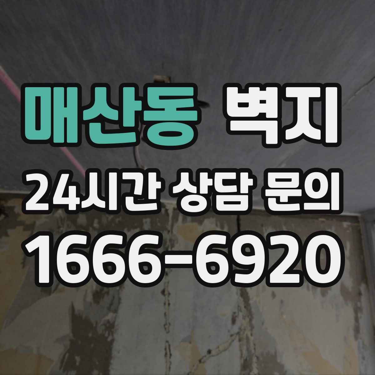 매산동 벽지