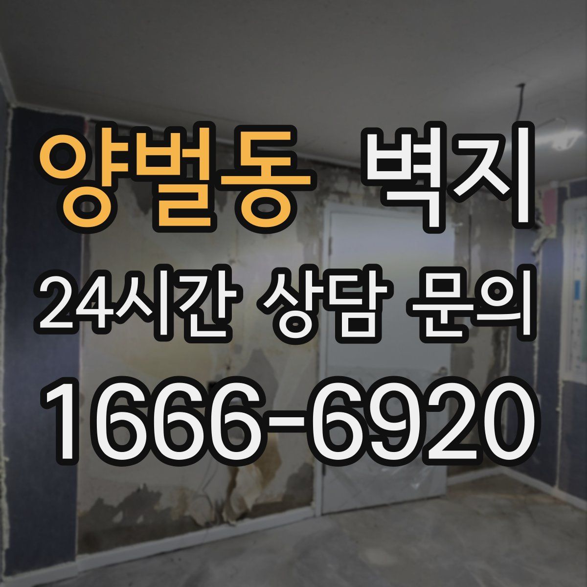 양벌동 벽지