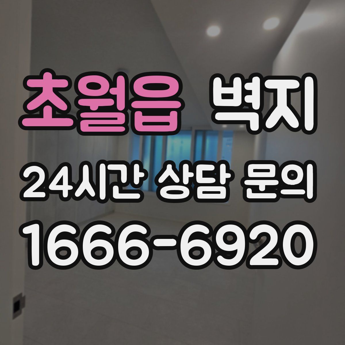 초월읍 벽지
