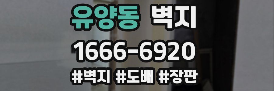 유양동 벽지