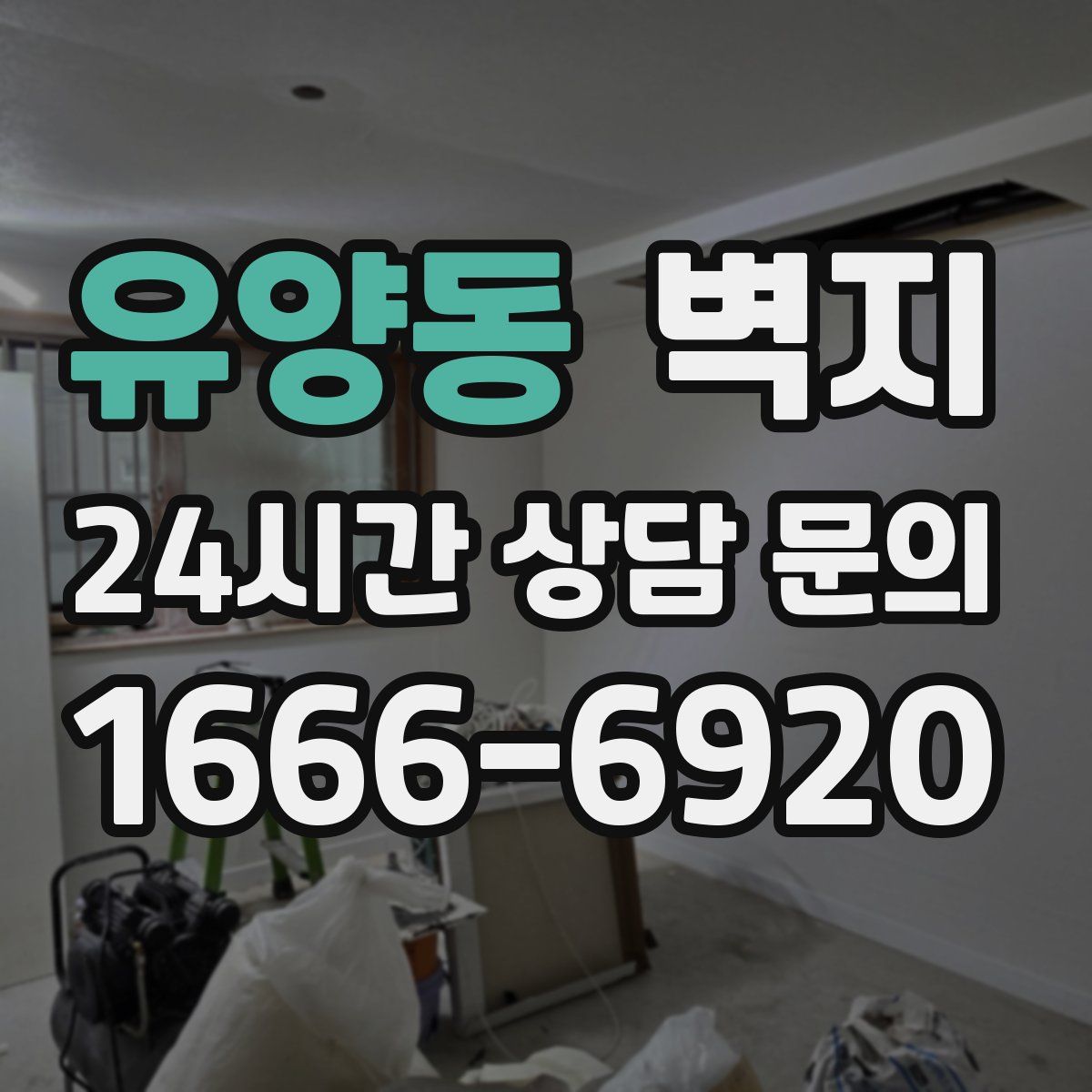 유양동 벽지
