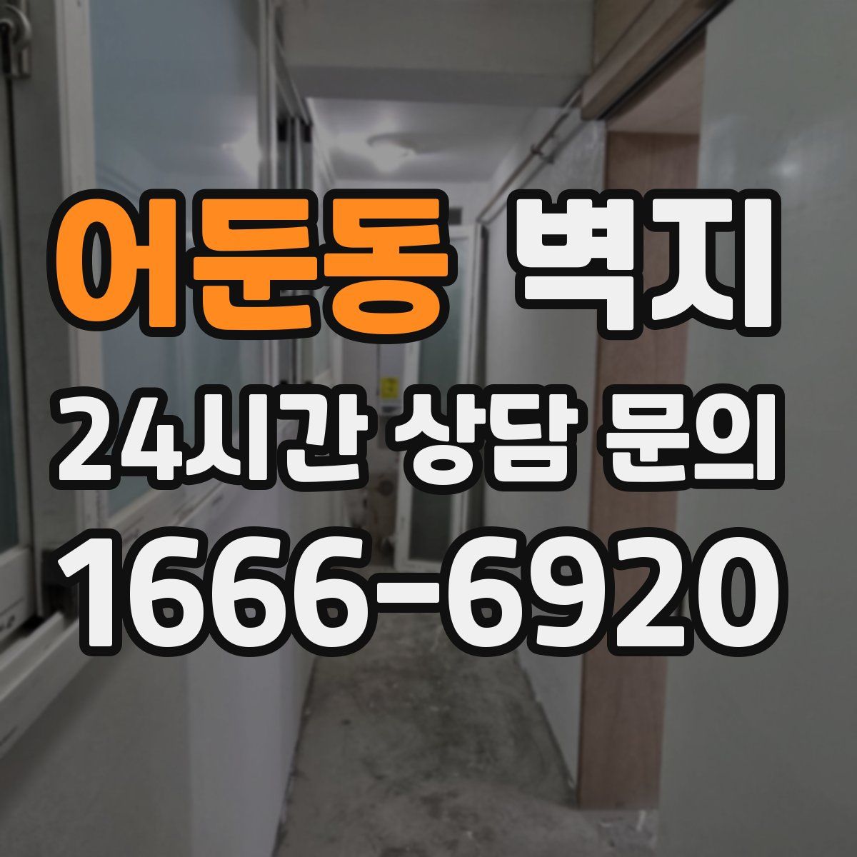 어둔동 벽지