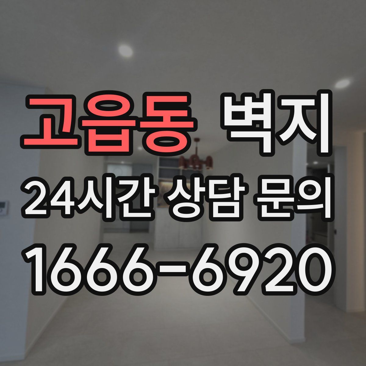 고읍동 벽지