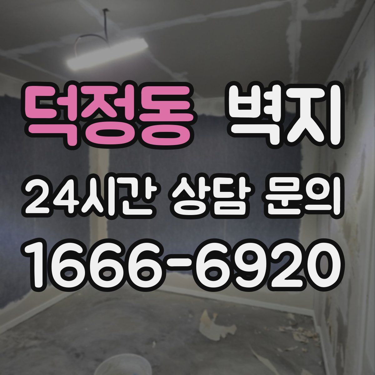 덕정동 벽지