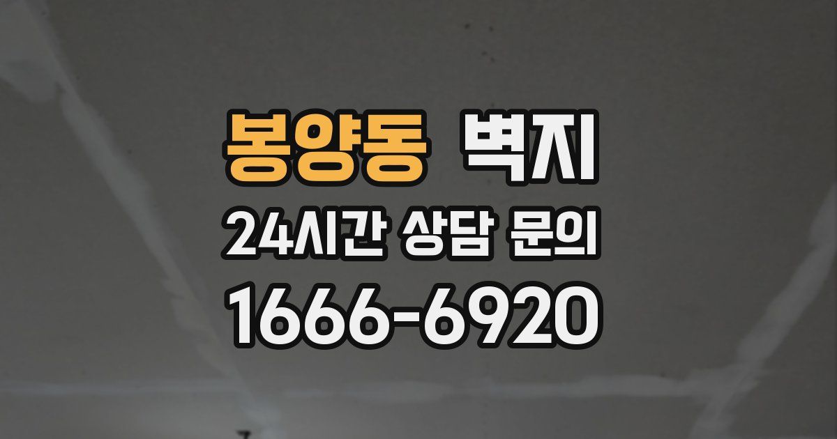 봉양동 벽지