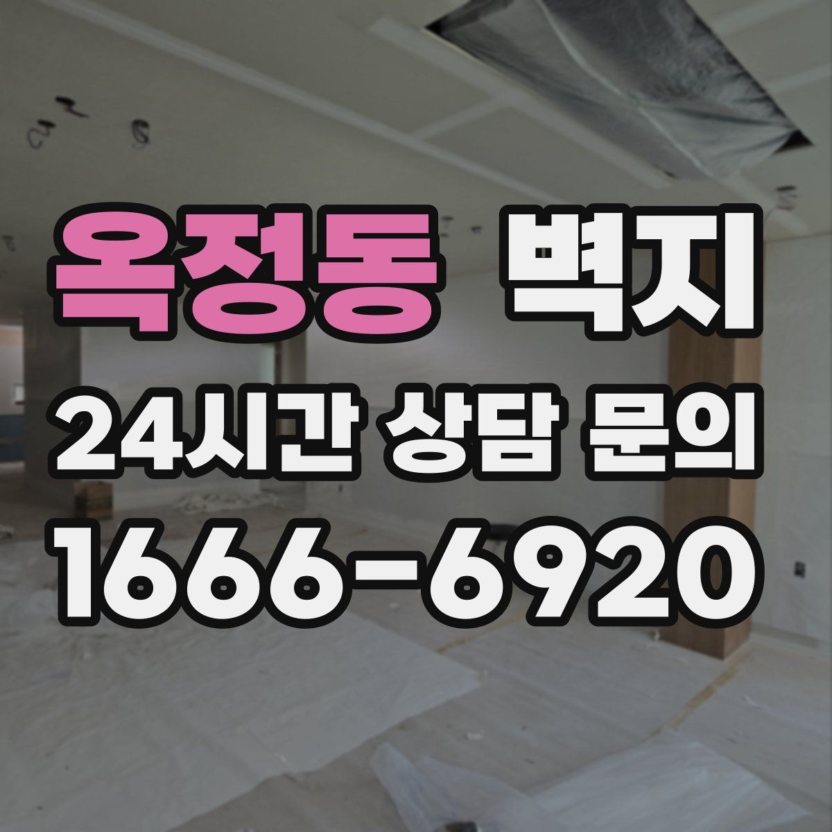 옥정동 벽지