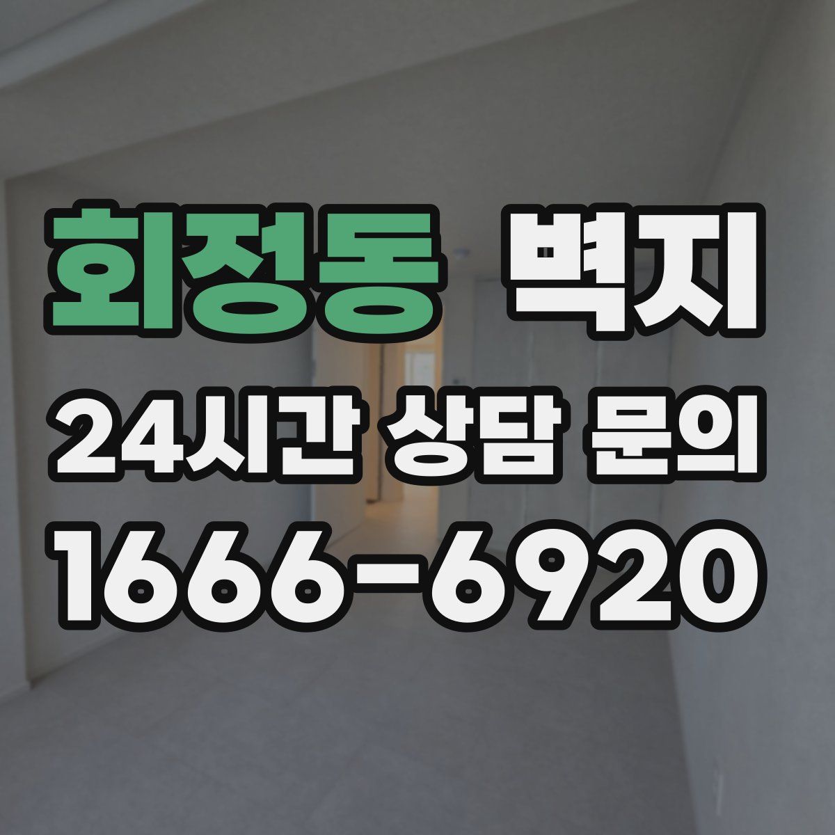 회정동 벽지