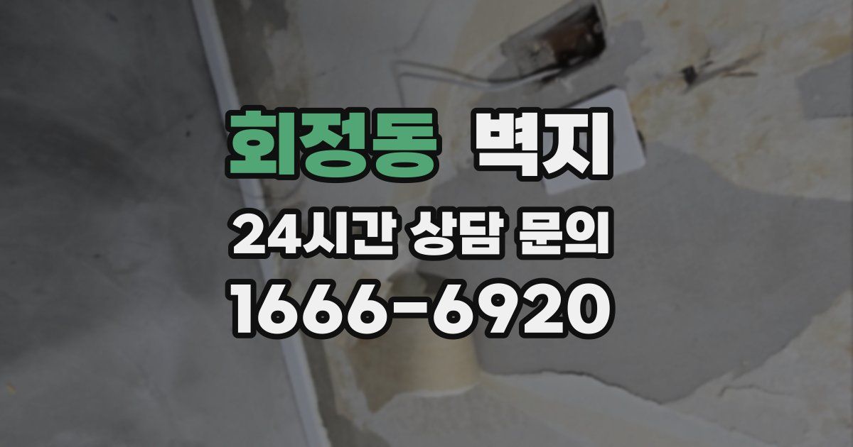 회정동 벽지