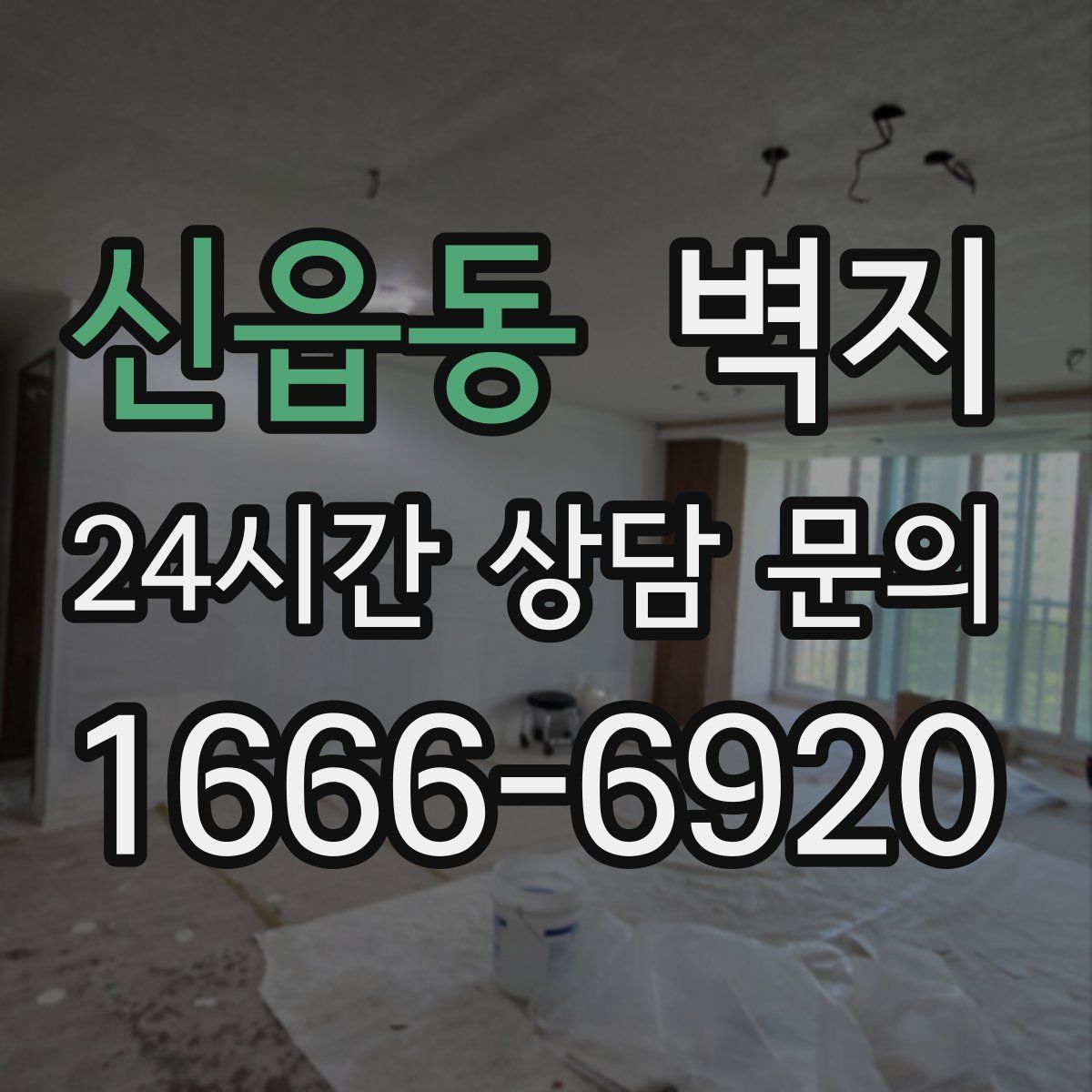 신읍동 벽지
