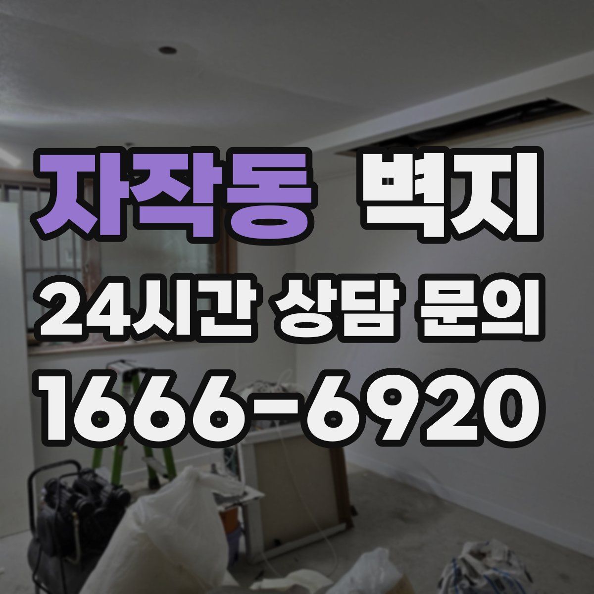 자작동 벽지
