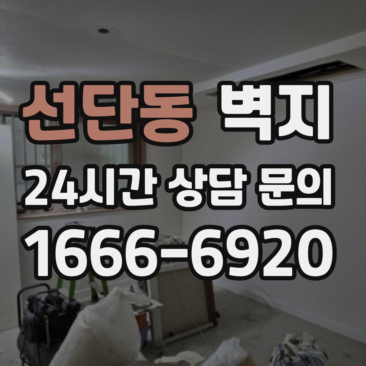 선단동 벽지