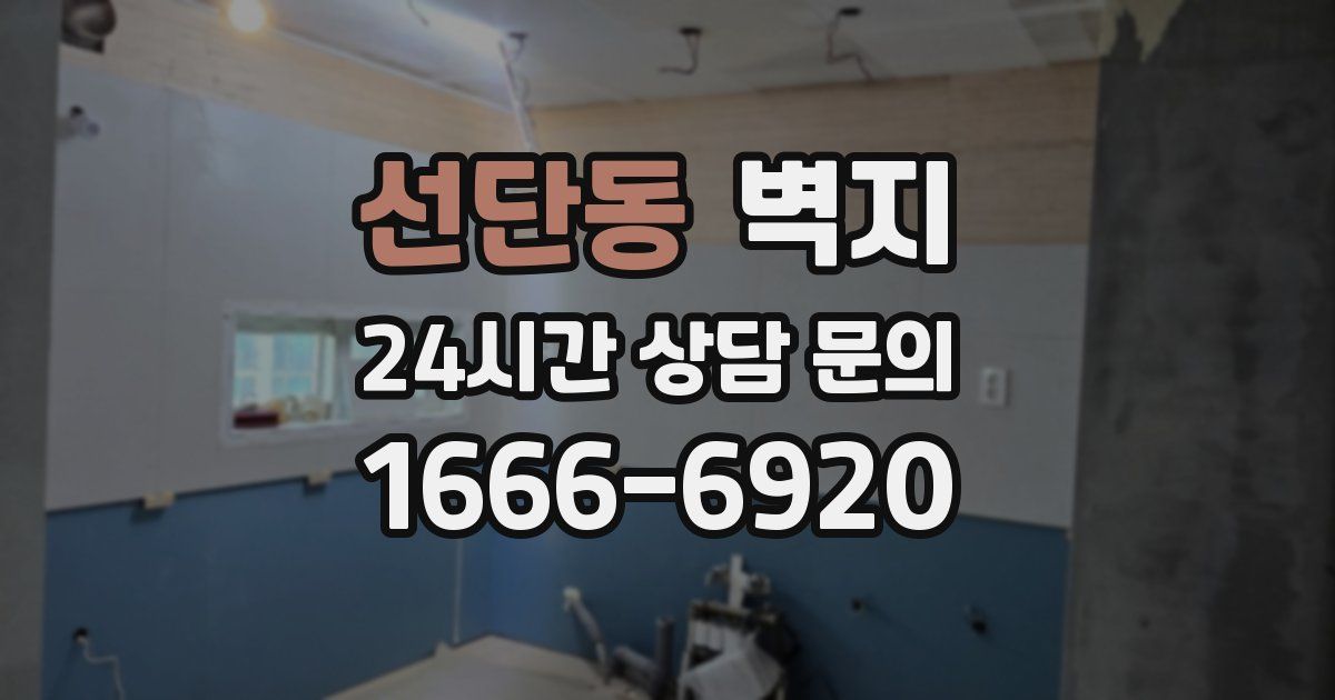 선단동 벽지