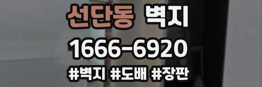 선단동 벽지