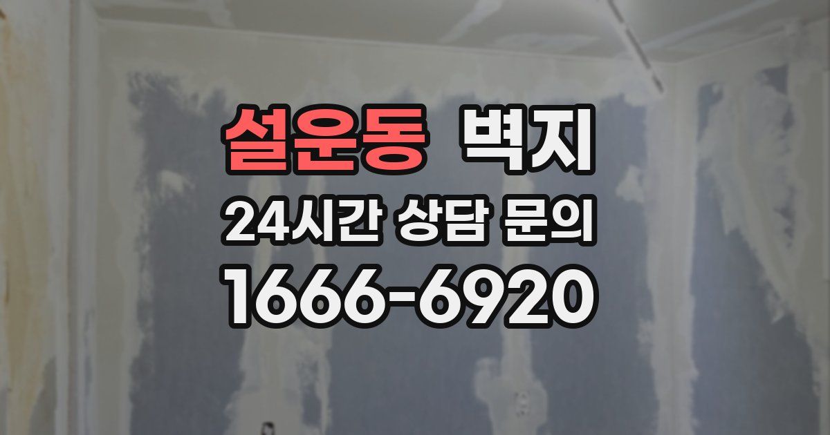 설운동 벽지