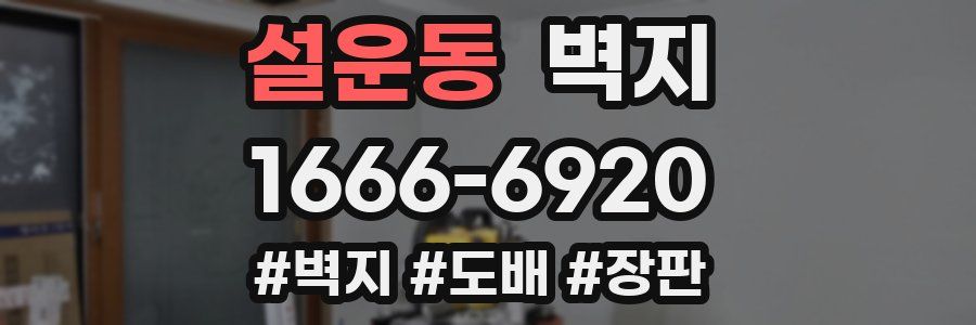 설운동 벽지