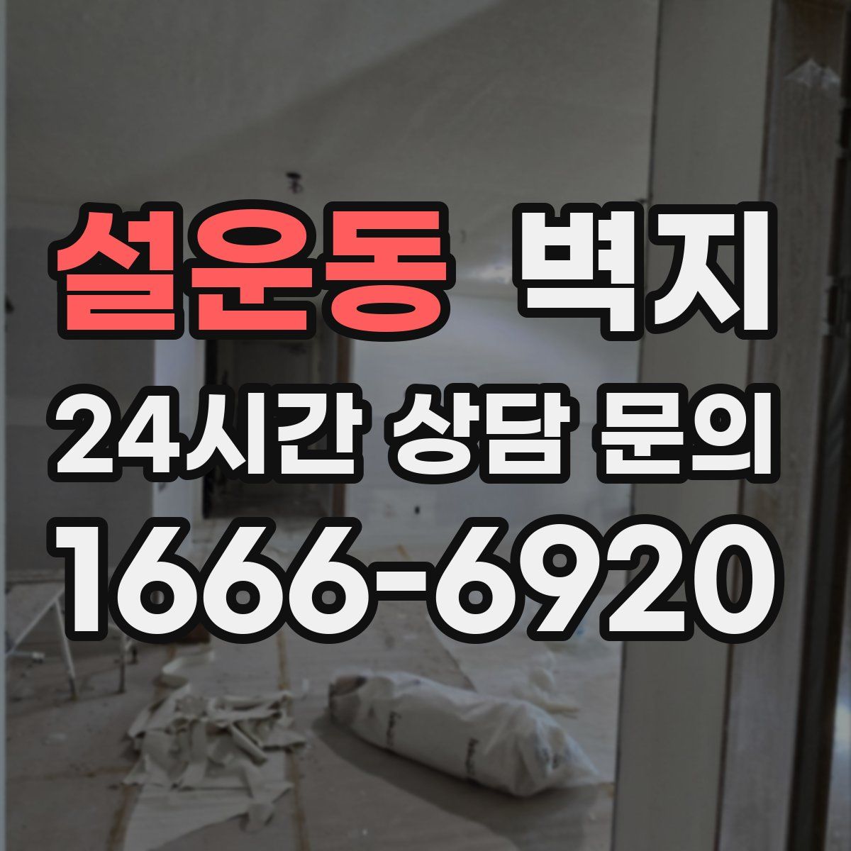 설운동 벽지