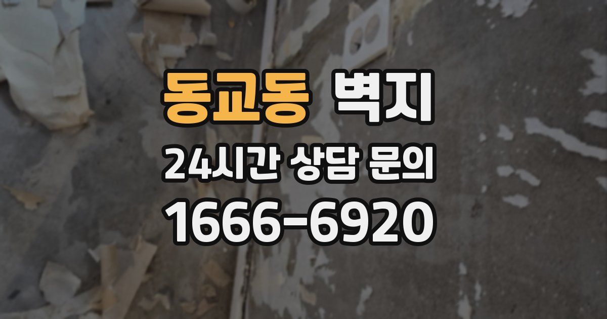동교동 벽지