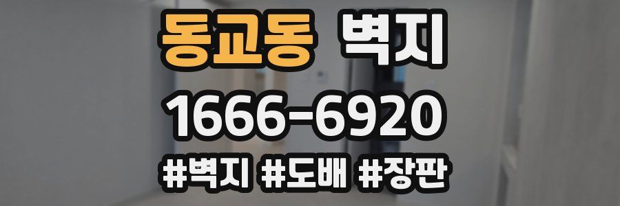 동교동 벽지