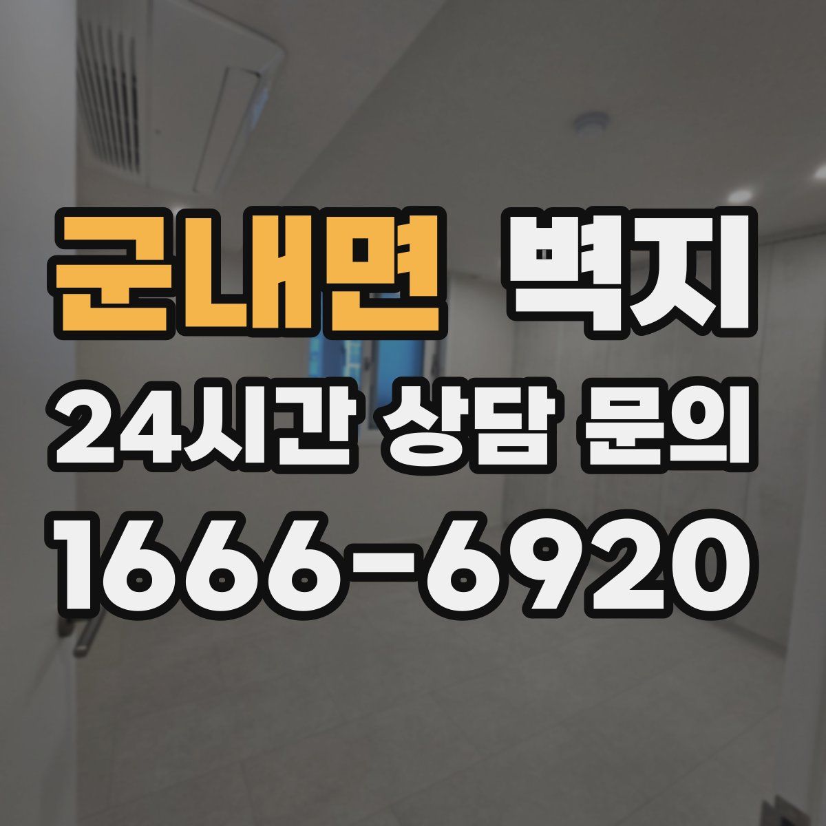 군내면 벽지