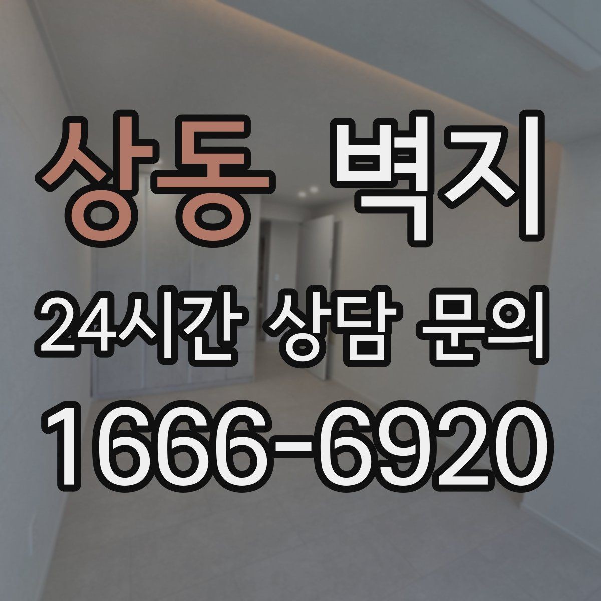 상동 벽지 손상 원인과 예방하는 관리법