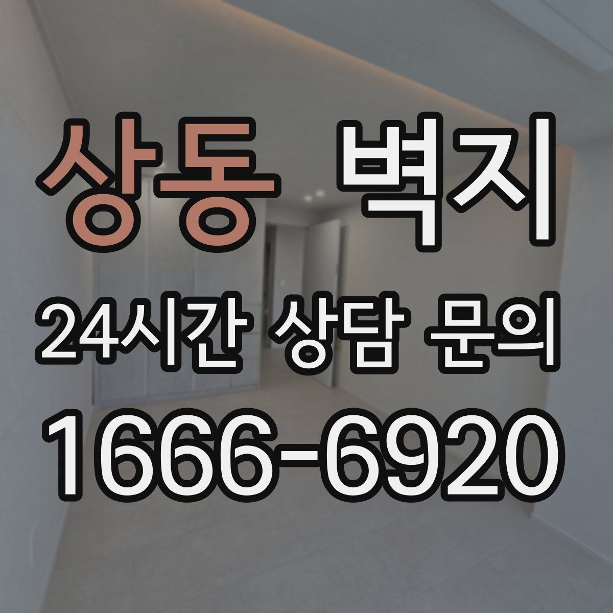 상동 벽지
