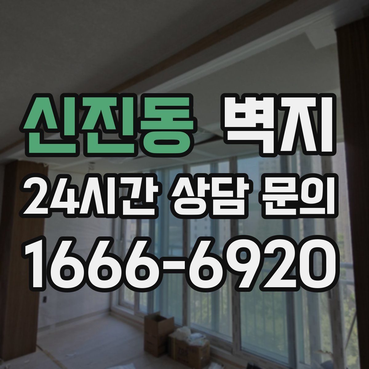 신진동 벽지