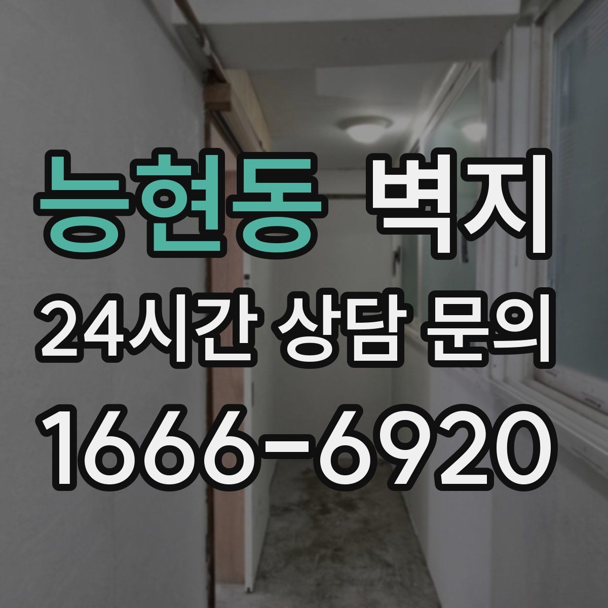 능현동 벽지 소재와 생활환경의 궁합