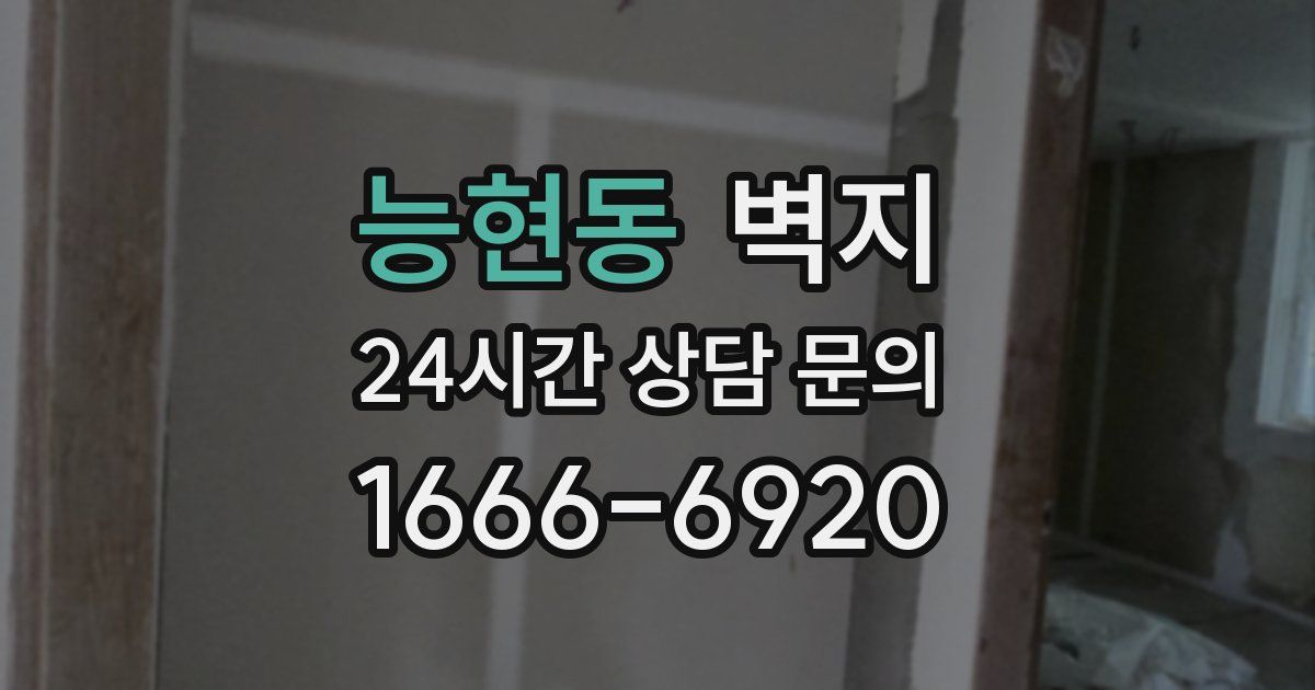 능현동 벽지