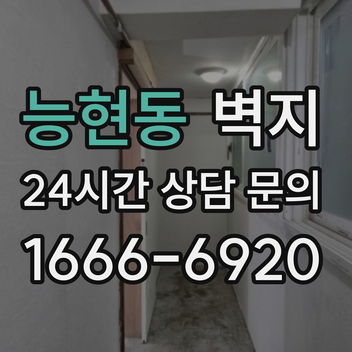 능현동 벽지
