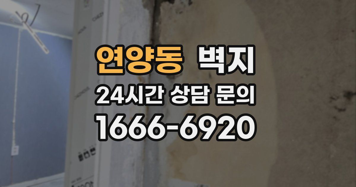 연양동 벽지