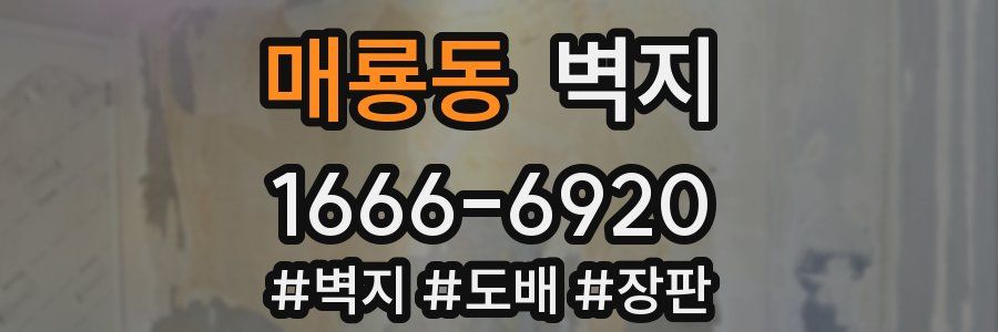 매룡동 벽지