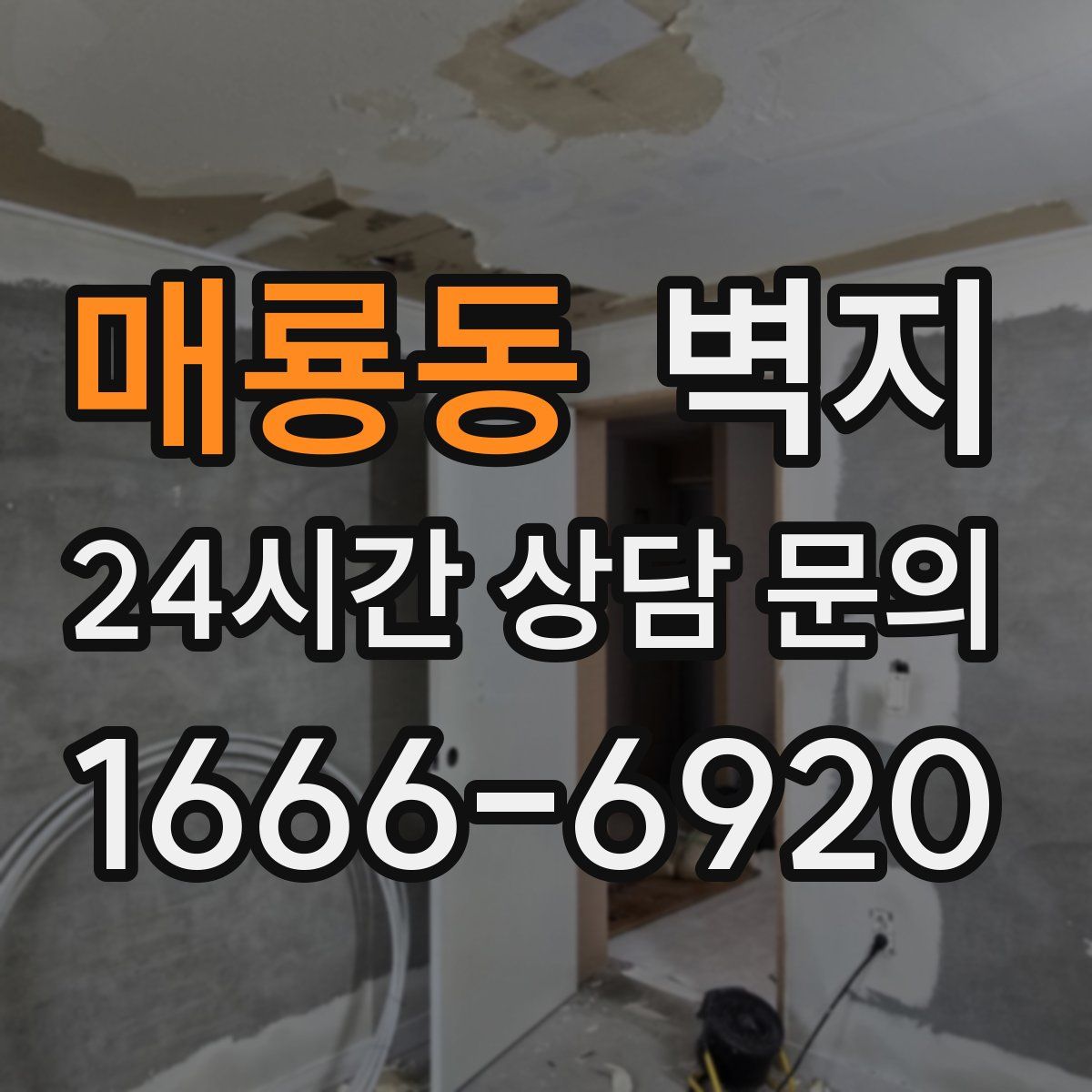매룡동 벽지