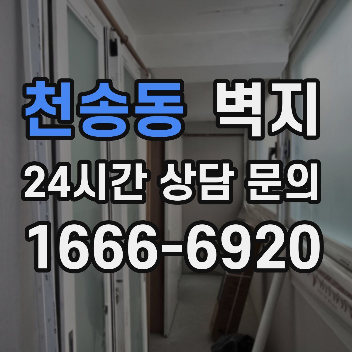 천송동 벽지