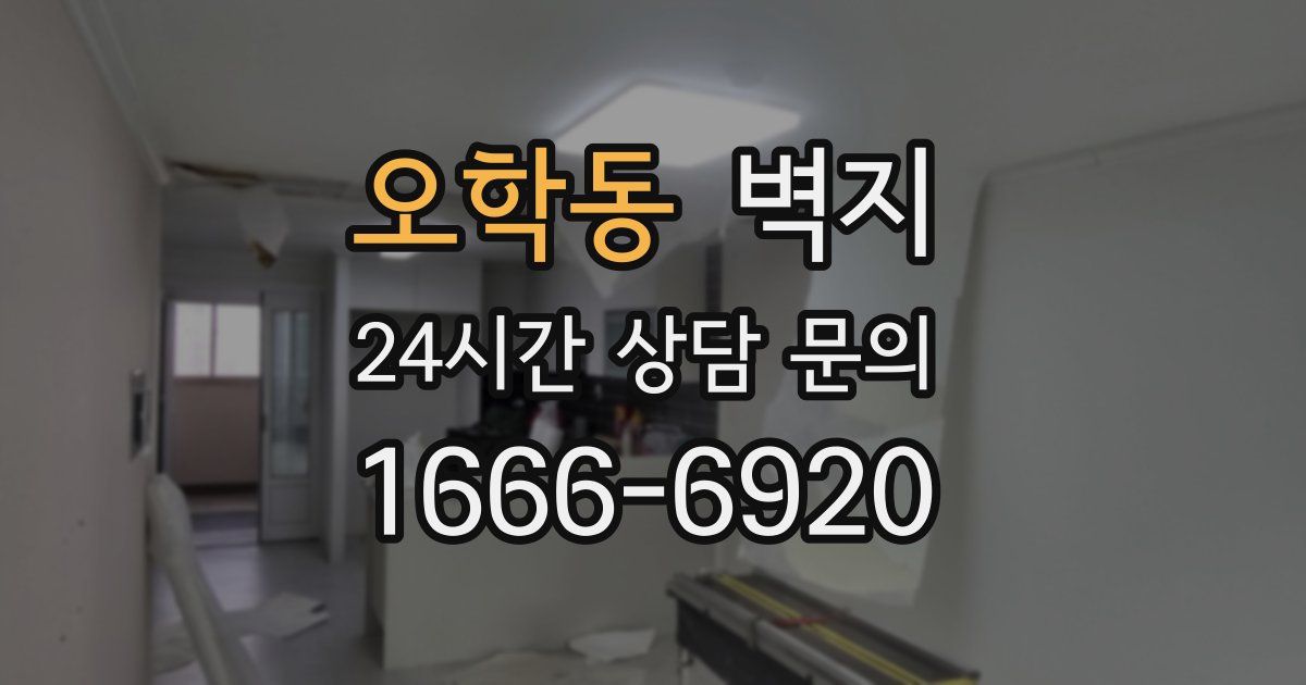 오학동 벽지
