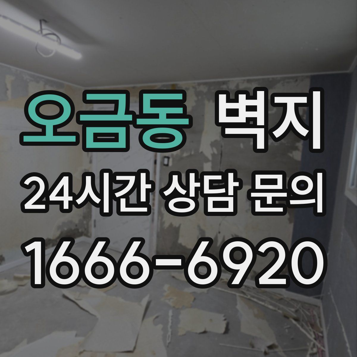 오금동 벽지
