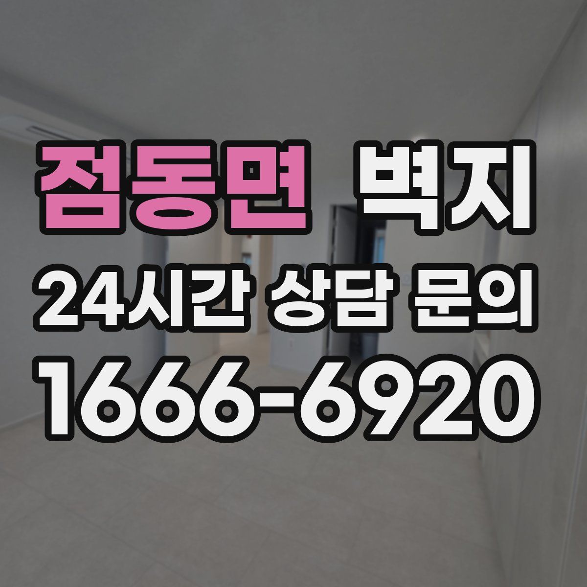 점동면 벽지