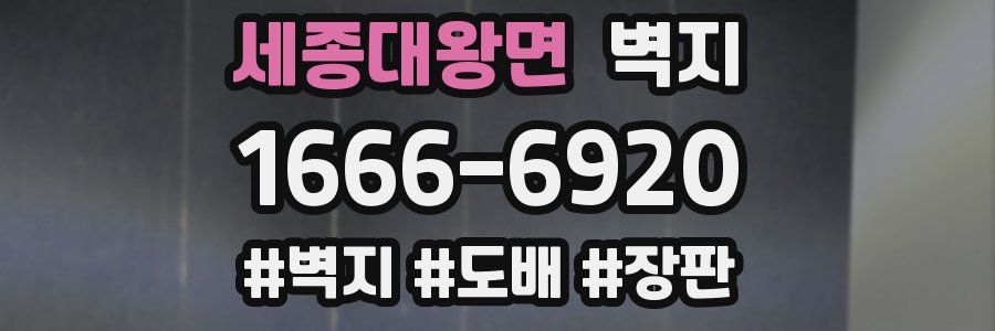 세종대왕면 벽지
