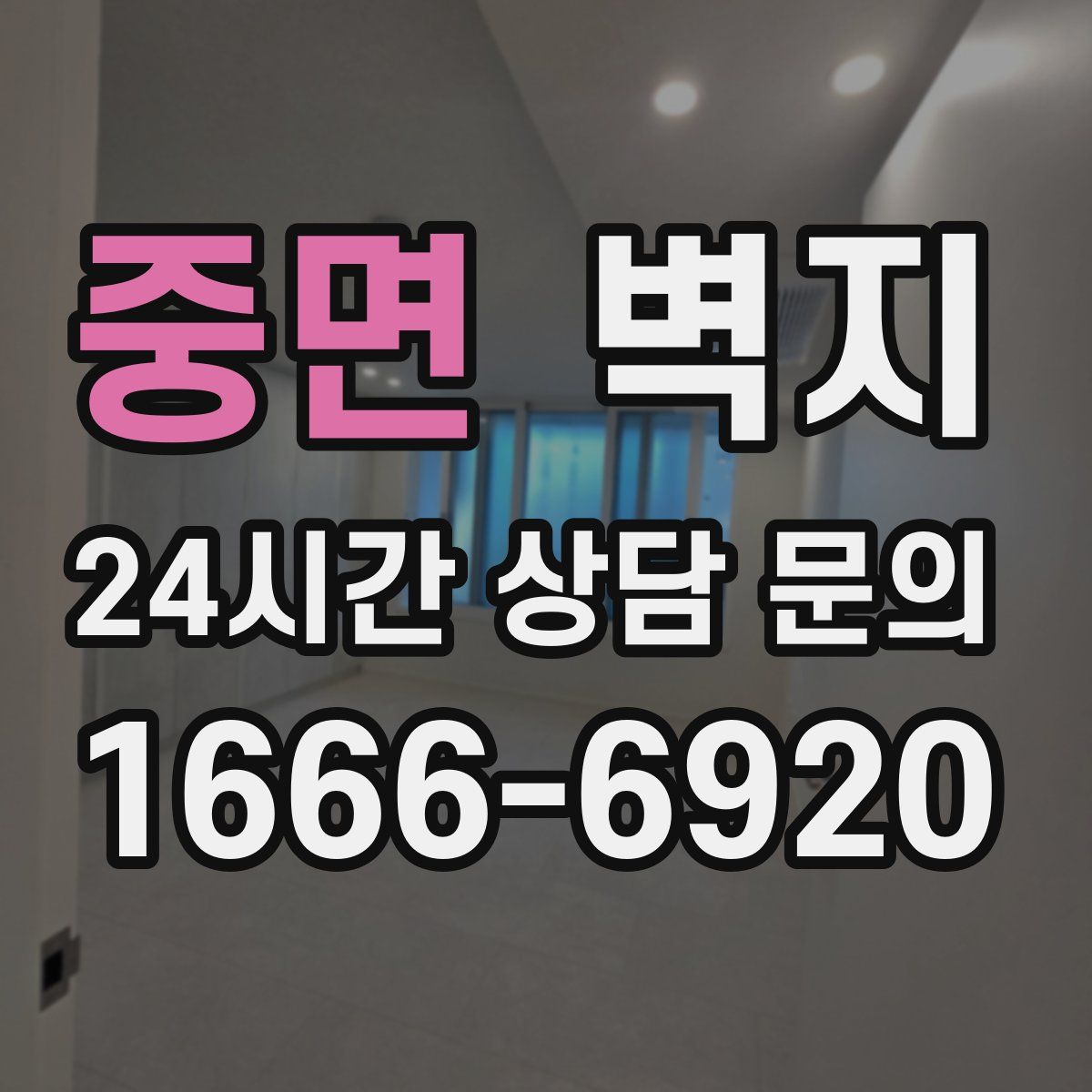 중면 벽지