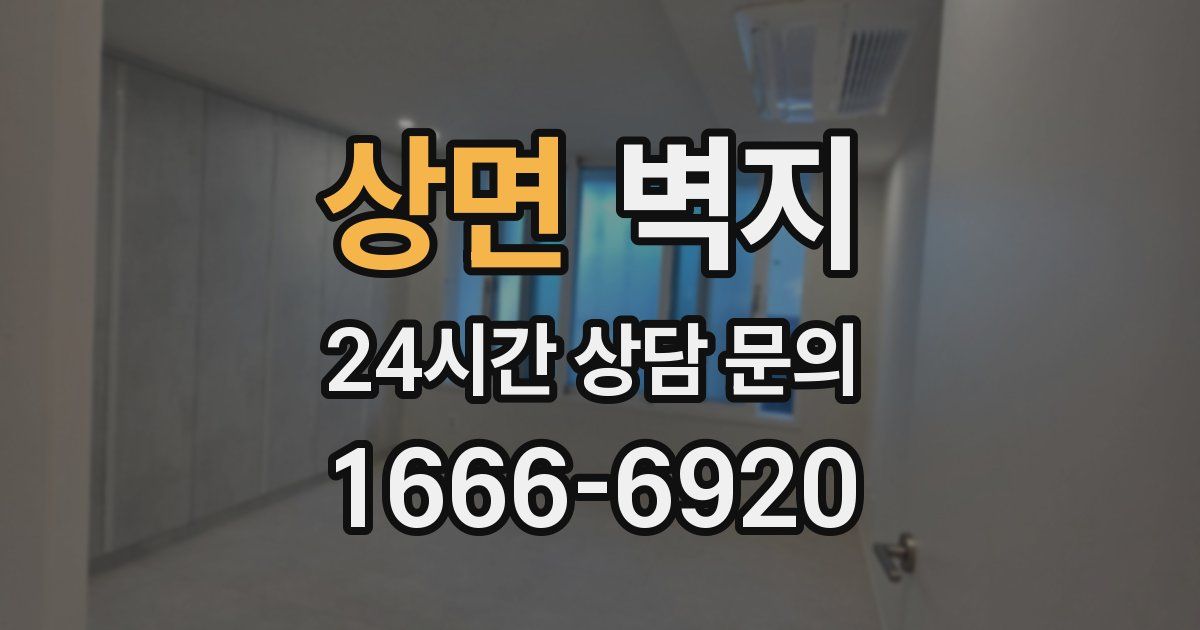 상면 벽지