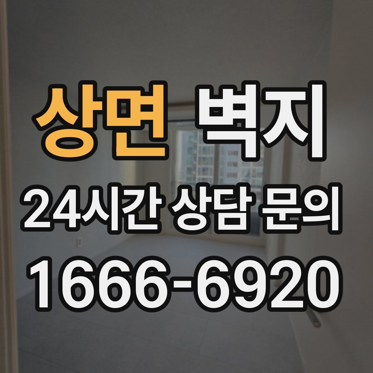 상면 벽지
