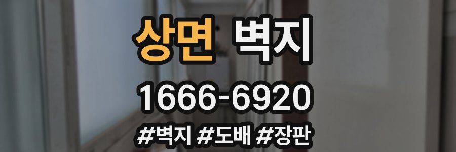 상면 벽지