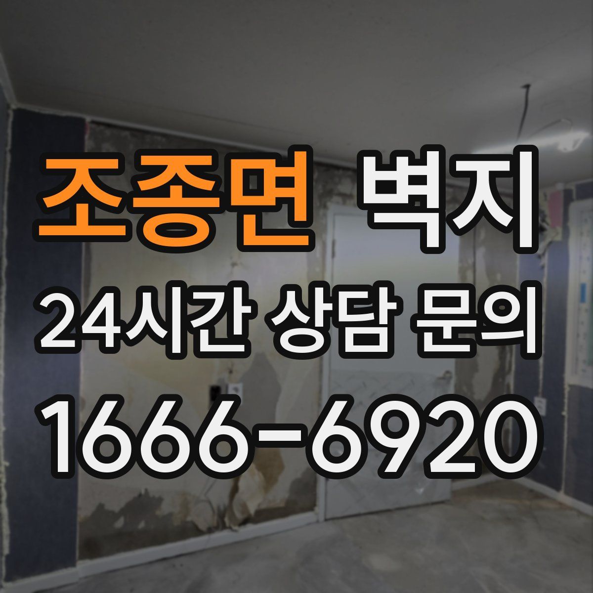 조종면 벽지