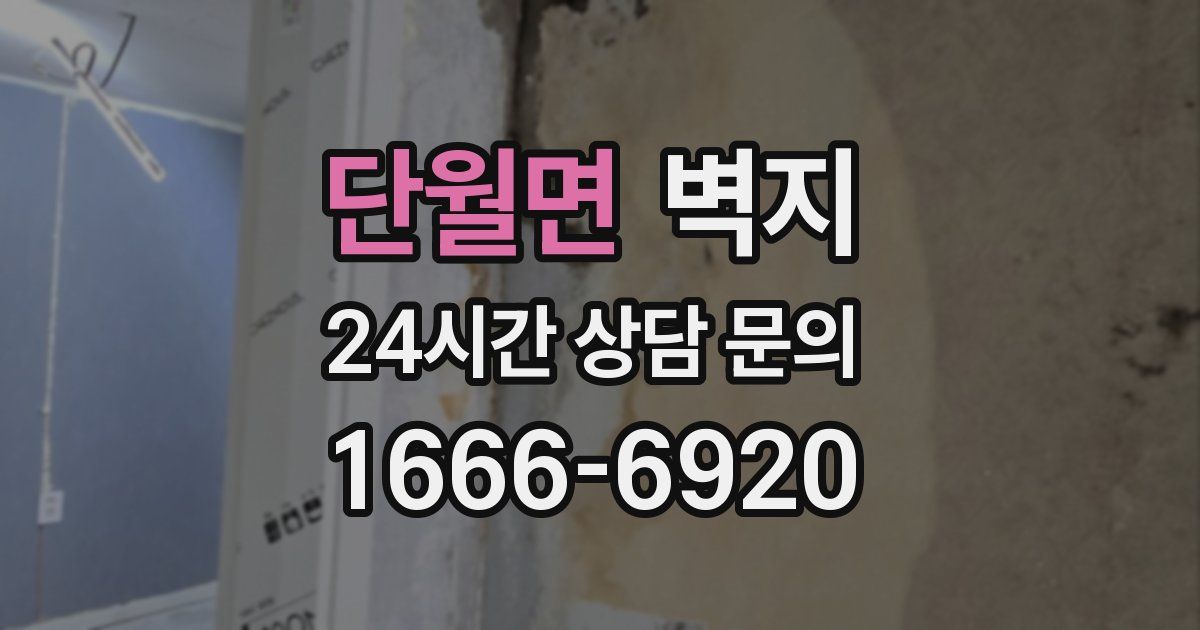 단월면 벽지