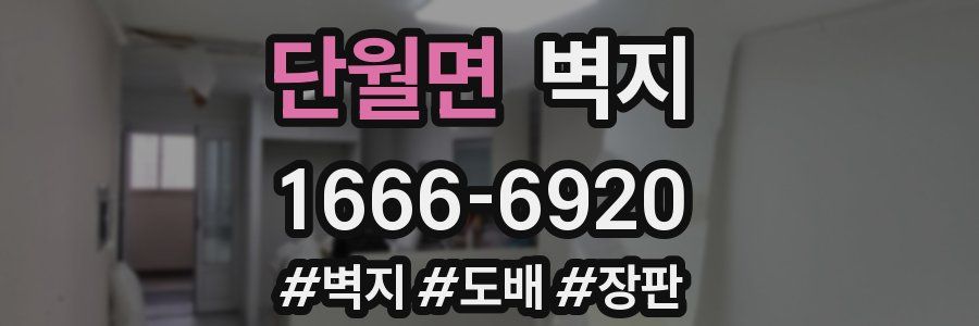 단월면 벽지