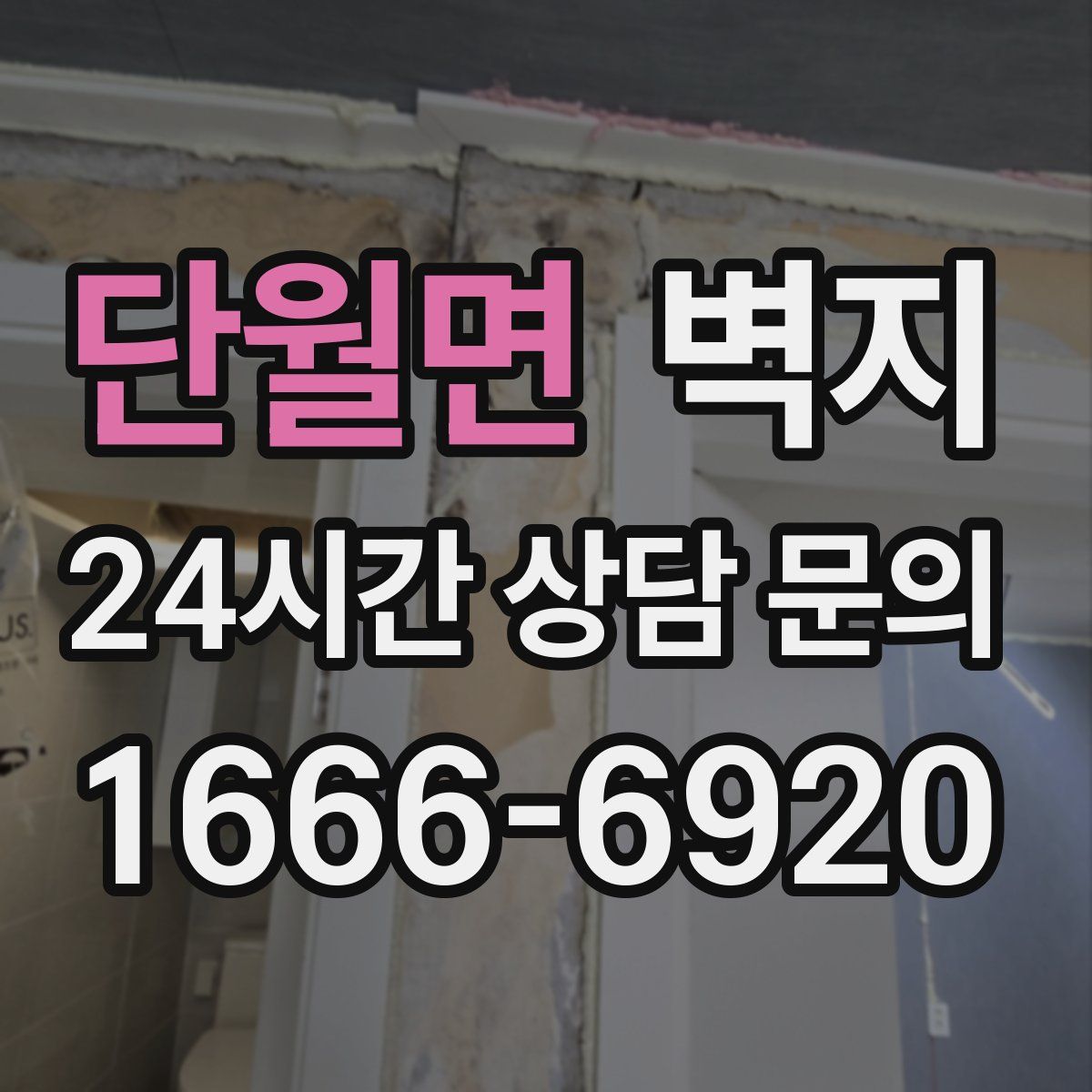 단월면 벽지